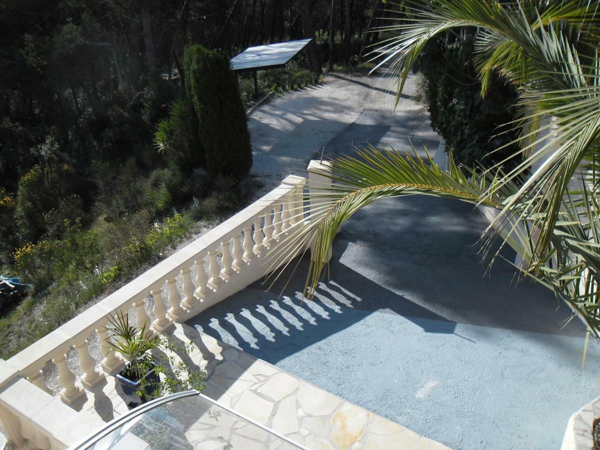 Charmante Villa A 15 Min De Nice Avec Piscine Blausasc Eksteriør billede